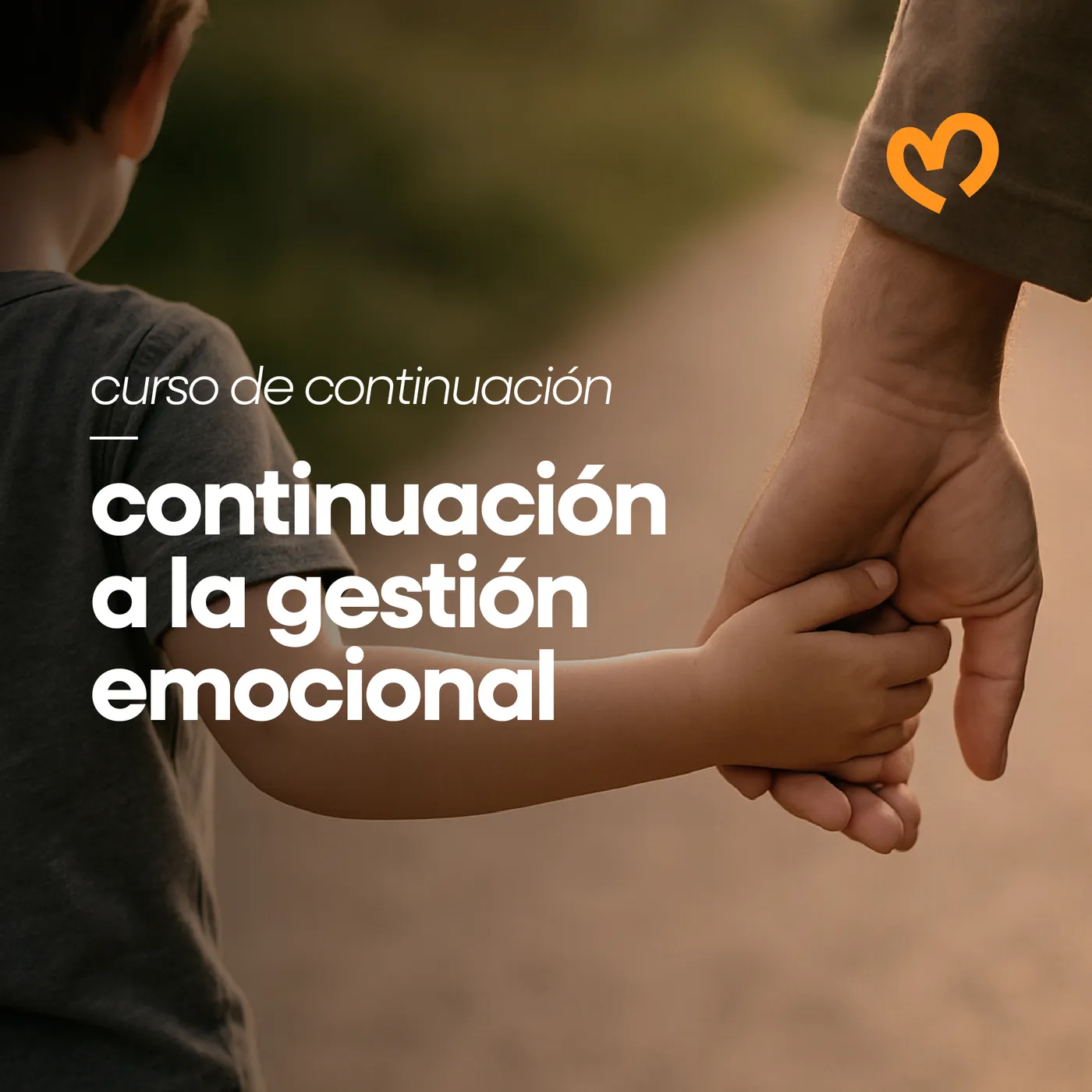 Cartel del curso Continuación a la gestión emocional